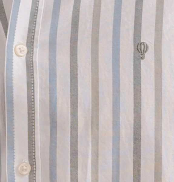 Camisa oxford raya diplomática · vista 6